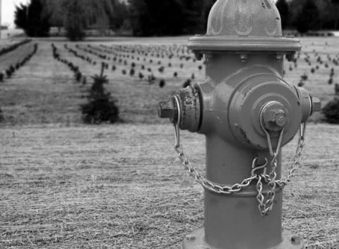 打爆别人短信的软件